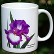 iris footloose mug  8196.jpg